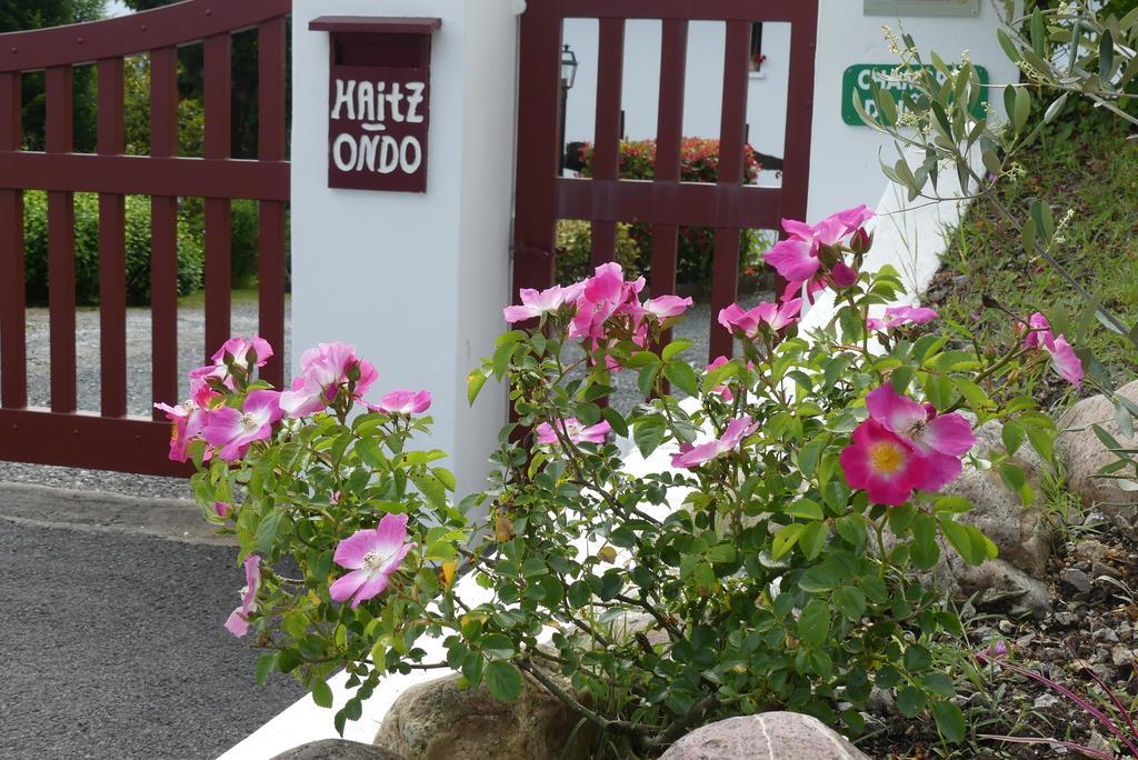 Chambres D'Hotes Haitz Ondo Hasparren Εξωτερικό φωτογραφία